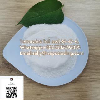 Tetracaine，Xylazine hcl.Benzocaine hcl whatsapp:+8615532192365