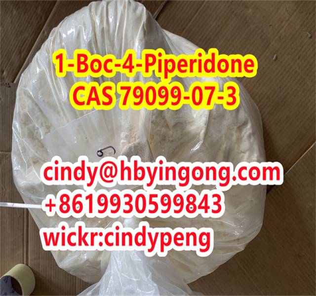 CAS 125541-22-2 tert-Butyl 4-anilinotetrahydro-1(2H)-pyridinecarboxylate 222BOC hot sell in mexico