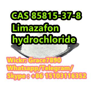 CAS 85815-37-8 Limazafon Hydrochloride Wickr: Grace7890
